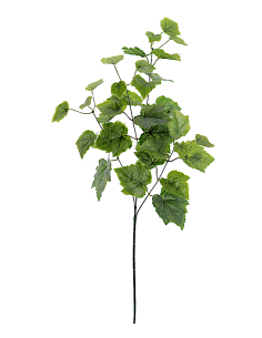 STELO 4335-09 PARRA VERGINE FOGLIE VERDI