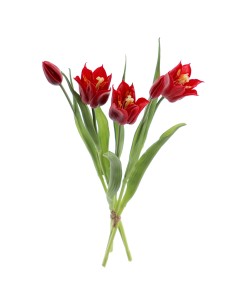 MAZZO 2753-08 3 TULIPANI ROSSI CON BOCCIOLI
