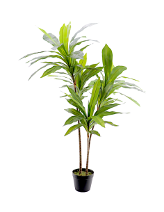 PIANTA 7172-09 DRACAENA VERDE 120CM CON VASO