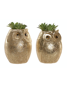 Piantina in Vaso Gufo Resina 11x18 cm Assortita | shopincasa.it