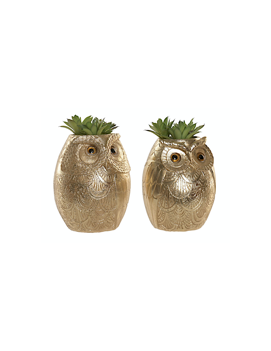 Piantina in Vaso Gufo Resina 11x18 cm Assortita | shopincasa.it