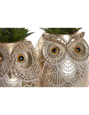 Piantina in Vaso Gufo Resina 11x18 cm Assortita | shopincasa.it