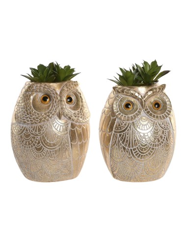 Piantina in Vaso Gufo Resina 11x18 cm Assortita | shopincasa.it