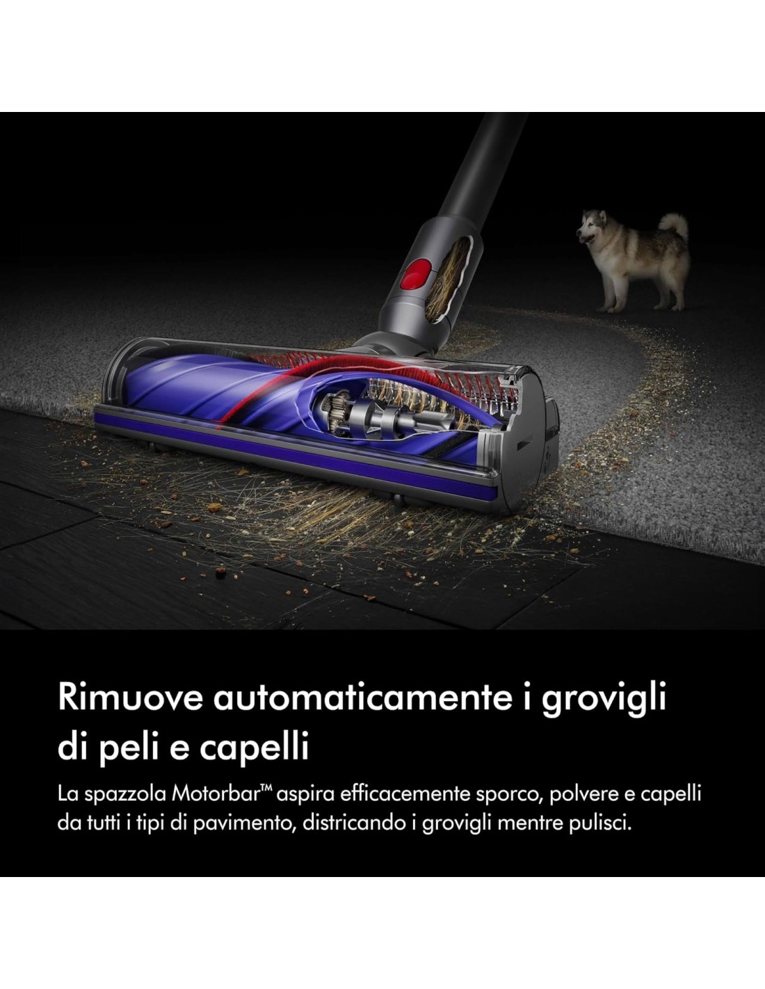 Dyson V8 Advanced Aspirapolvere Senza Filo 130 AW - shopincasa.it