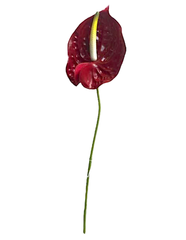 STELO 11660023-03 FOGLIA ANTHURIUM ROSSA