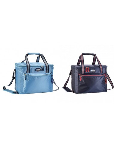 BORSE FRIGO: vendita online BORSA TERM 025232 ARTIC 26LT in offerta