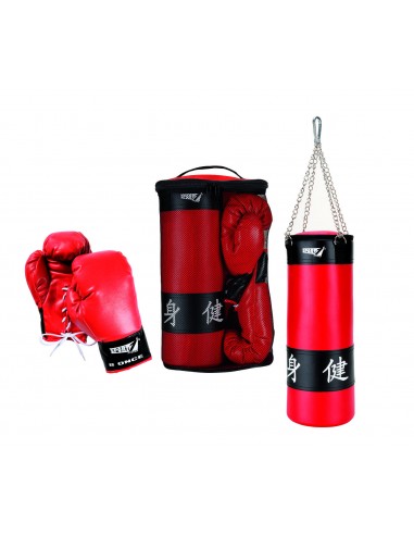 GIOCHI BOY: vendita online SET BOXING CON GUANTONI ASSORTITO 800240/801292 MANDELLI in offerta