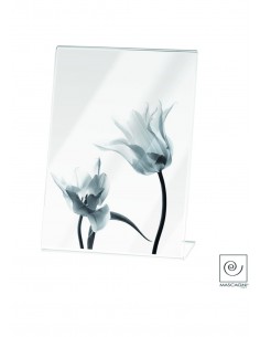 PORTAFOTO E CORNICI: vendita online A1152 CORNICE 15X20 in offerta