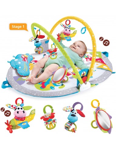 INFANZIA: vendita online YOOKIDOO YKD40145 GYMOTION LAY TO SIT-UP PLAY in offerta