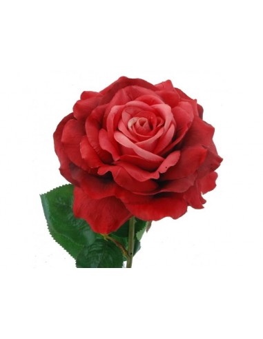 FIORI: vendita online ROSA 1803-08 ROSSA 56CM in offerta