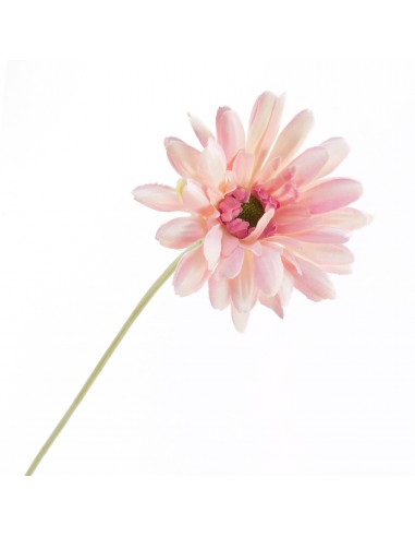 FIORI: vendita online GERBERA 2292 ASSORT in offerta
