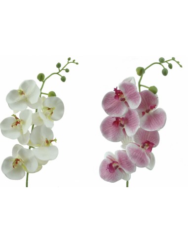 FIORI: vendita online PHALENOPSIS 3007 82CM in offerta