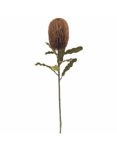 FIORI: vendita online BANKSIA 2053 65CM ASS in offerta