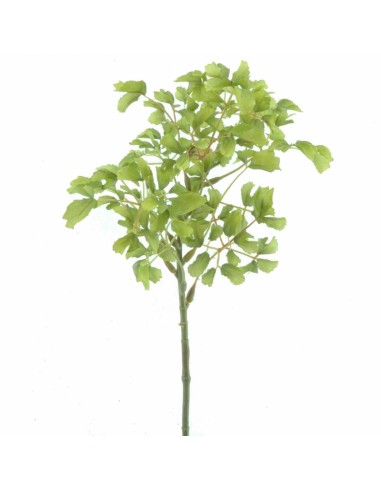 RAMI E COMPOSIZIONI FLOREALI: vendita online ADIANTUM 1736-09 44CM VERDE in offerta