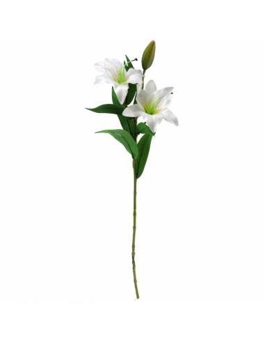 FIORI: vendita online LILIUM 2410 ASSORT in offerta