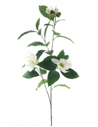 FIORI: vendita online MAGNOLIE 6210 138CM in offerta