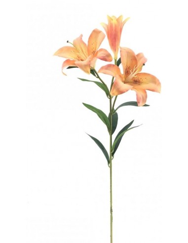 FIORI: vendita online LILIUM 6240 ASSORTITO in offerta