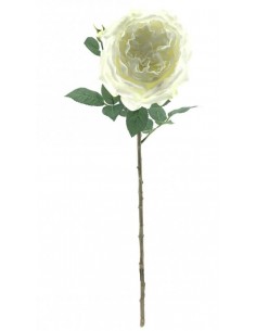 FIORI: vendita online ROSA 6971 GARNETTE FUCSIA in offerta