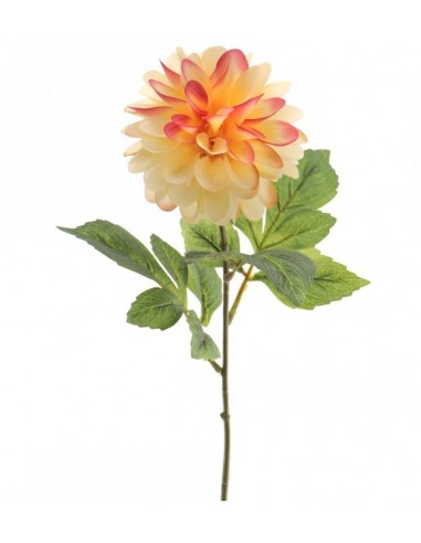 FIORI: vendita online DAHLIA 9537 FALL EVER ASSORTITO in offerta