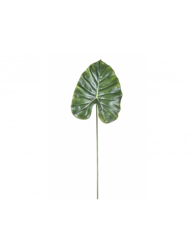 PIANTE: vendita online FOGLIA DI POTHOS 66CM AF101 BIANCHI DINO in offerta