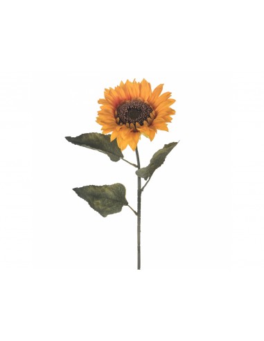 FIORI: vendita online GIRASOLE 72CM GG013 BIANCHI DINO in offerta