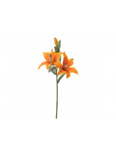 FIORI: vendita online LILIUM x3 70CM ASSORTITO LI021 BIANCHI DINO in offerta