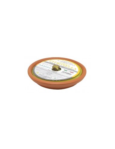 ACCESSORI VARI: vendita online FIACCOLA PAD140OC TERRACOTTA CITRONELLA 15X3 in offerta