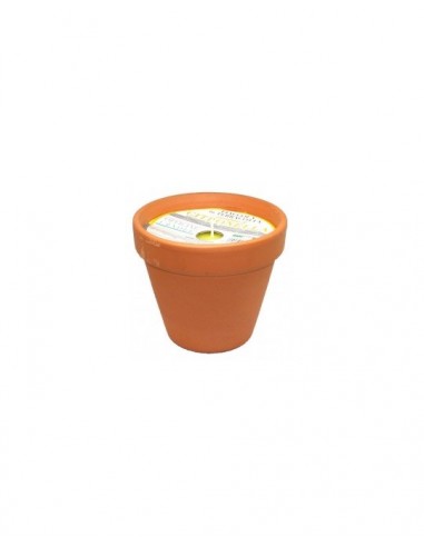 OGGETTISTICA: vendita online VASETTO PAD60VFOC TERRACOTTA CITRONELLA 7X6 in offerta