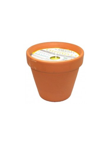 ACCESSORI VARI: vendita online VASETTO TERRACOTTA CITRONELLA 11X11 in offerta