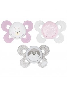 ACCESSORI: vendita online SUCCHIETTO 0/6 MESI PHYSIO COMFORT GIRL 2 PEZZI CHICCO in offerta 2