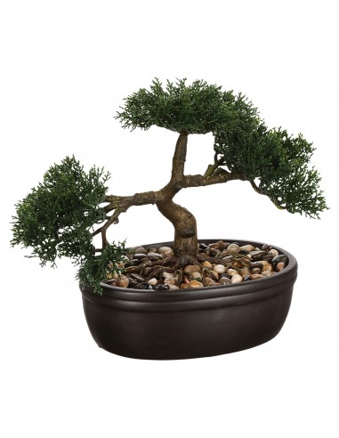 PIANTE E FIORI CON VASO: vendita online PIANTA 103379 BONSAI 23CM in offerta