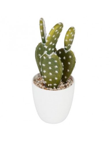 PIANTE E FIORI CON VASO: vendita online VASO 155600 CON CACTUS 18CM in offerta