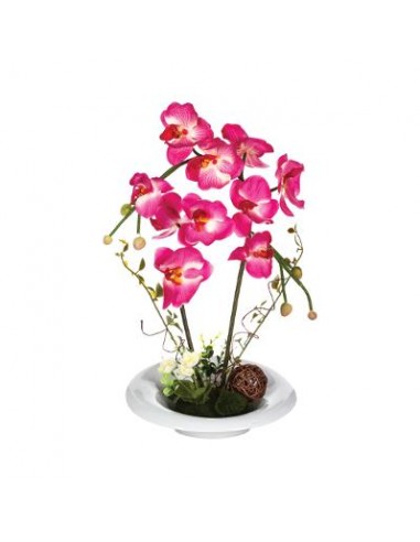 PIANTE E FIORI CON VASO: vendita online PIANTA ORCHIDEE VASO CERAMICA 46CM in offerta