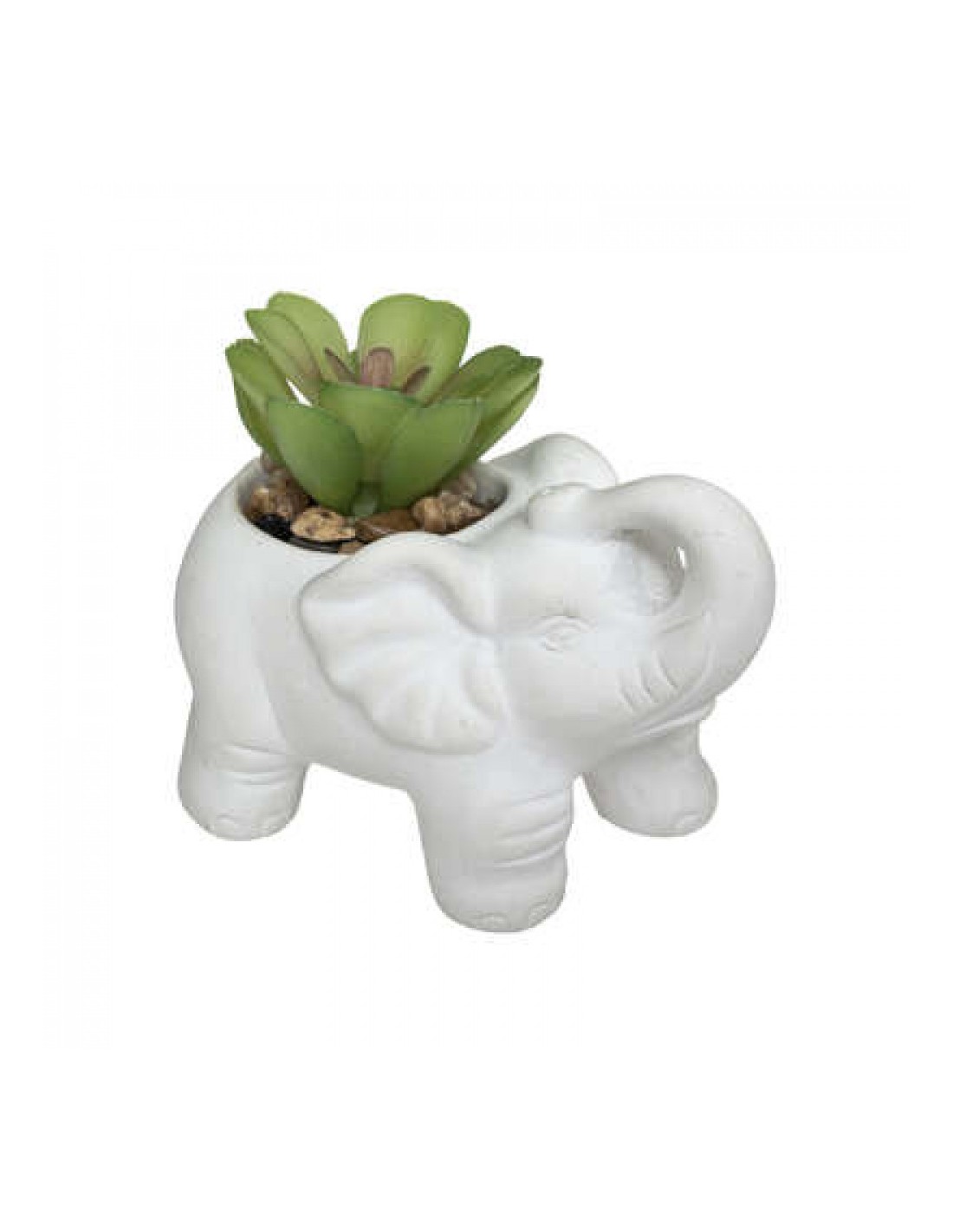 PIANTE E FIORI CON VASO: vendita online PIANTINA 181499 CON VASO CEMENTO ELEFANTE 10CM in offerta