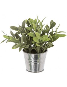 PIANTE E FIORI CON VASO: vendita online PIANTA 114754 IN VASO STAGNO 16X15CM in offerta