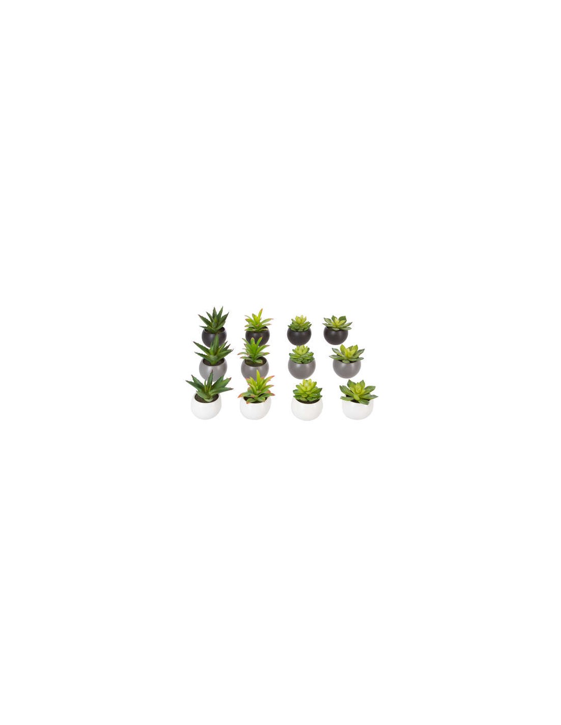 PIANTE E FIORI CON VASO: vendita online PIANTA 145000 CON VASO 13CM MODELLI ASSORTITI in offerta