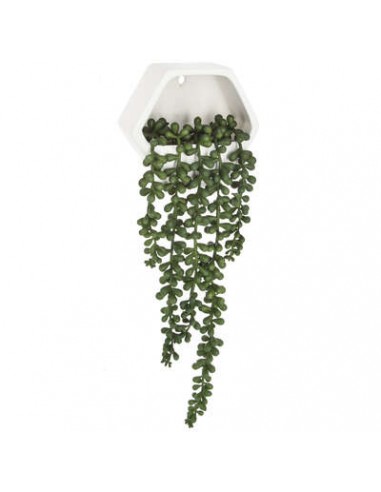 PIANTE E FIORI CON VASO: vendita online PIANTA 155634 RAMPICANTE CON SOSTEGNO 45CM in offerta