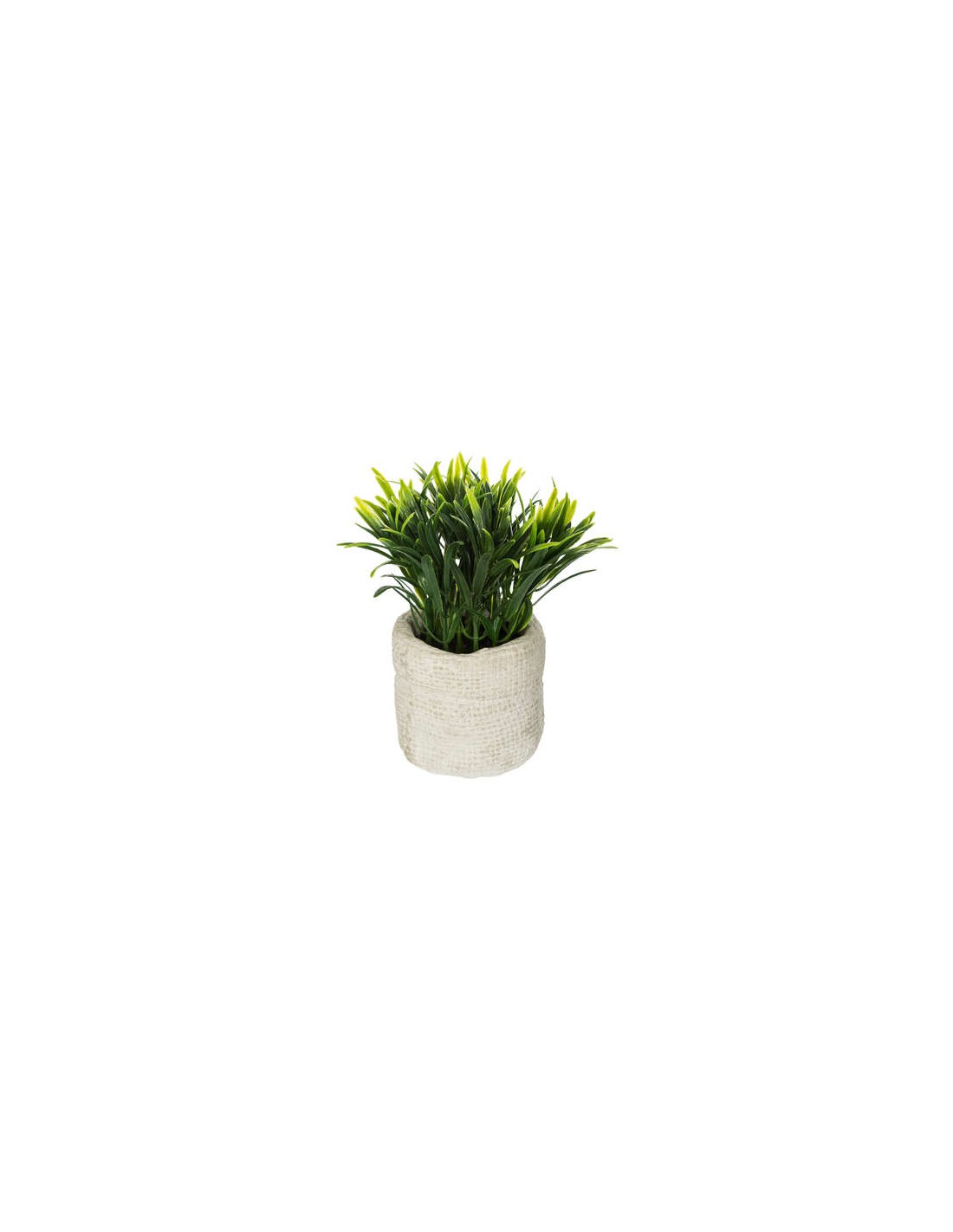 PIANTE E FIORI CON VASO: vendita online PIANTA 160067 VERDE IN VASO 12X16CM in offerta