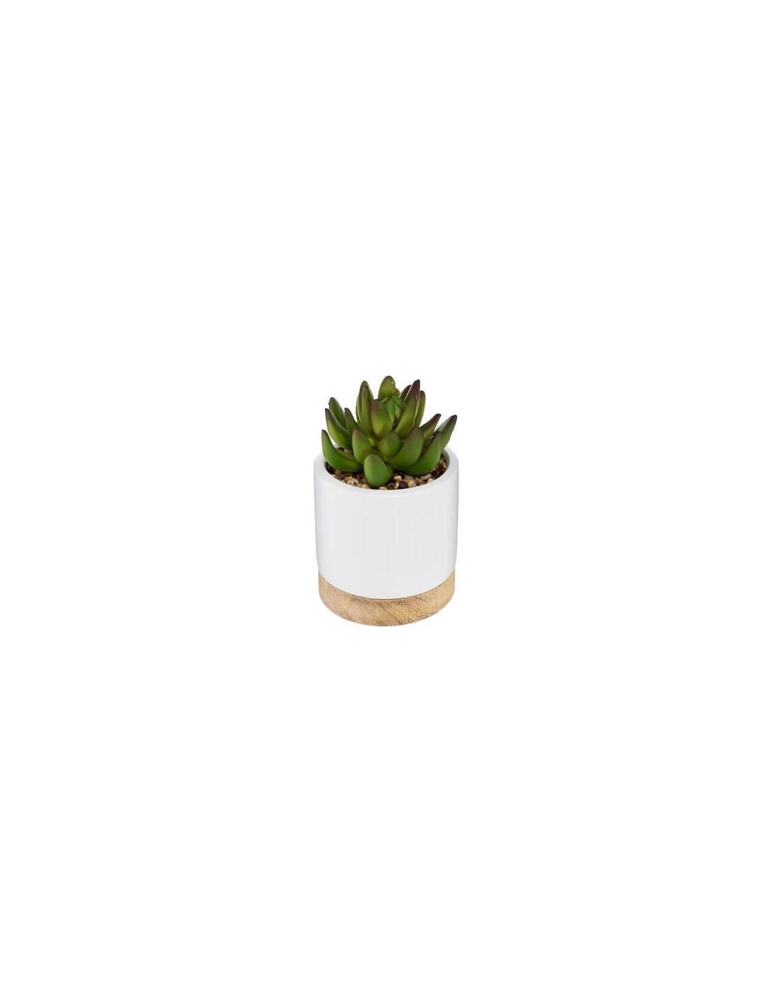 PIANTE E FIORI CON VASO: vendita online PIANTA 164284 VASO CERAMICA/LEGNO 9X12CM in offerta