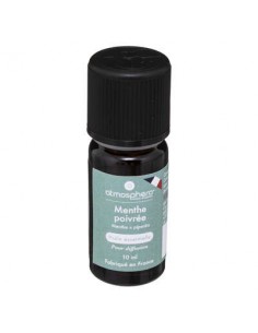 PROFUMATORI: vendita online OLIO ESSENZIALE 184734A MENTA 10ML in offerta