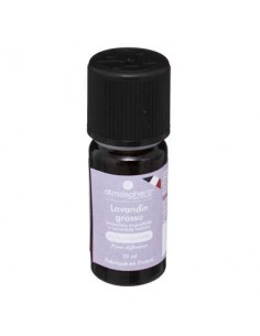 PROFUMATORI: vendita online OLIO ESSENZIALE 184734C LAVANDA 10ML in offerta