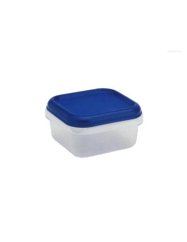 CONTENITORI E BROCCHE: vendita online FRIGO BOX QUADRATA BASSA IN PLASTICA 0,75 LT LEGA in offerta