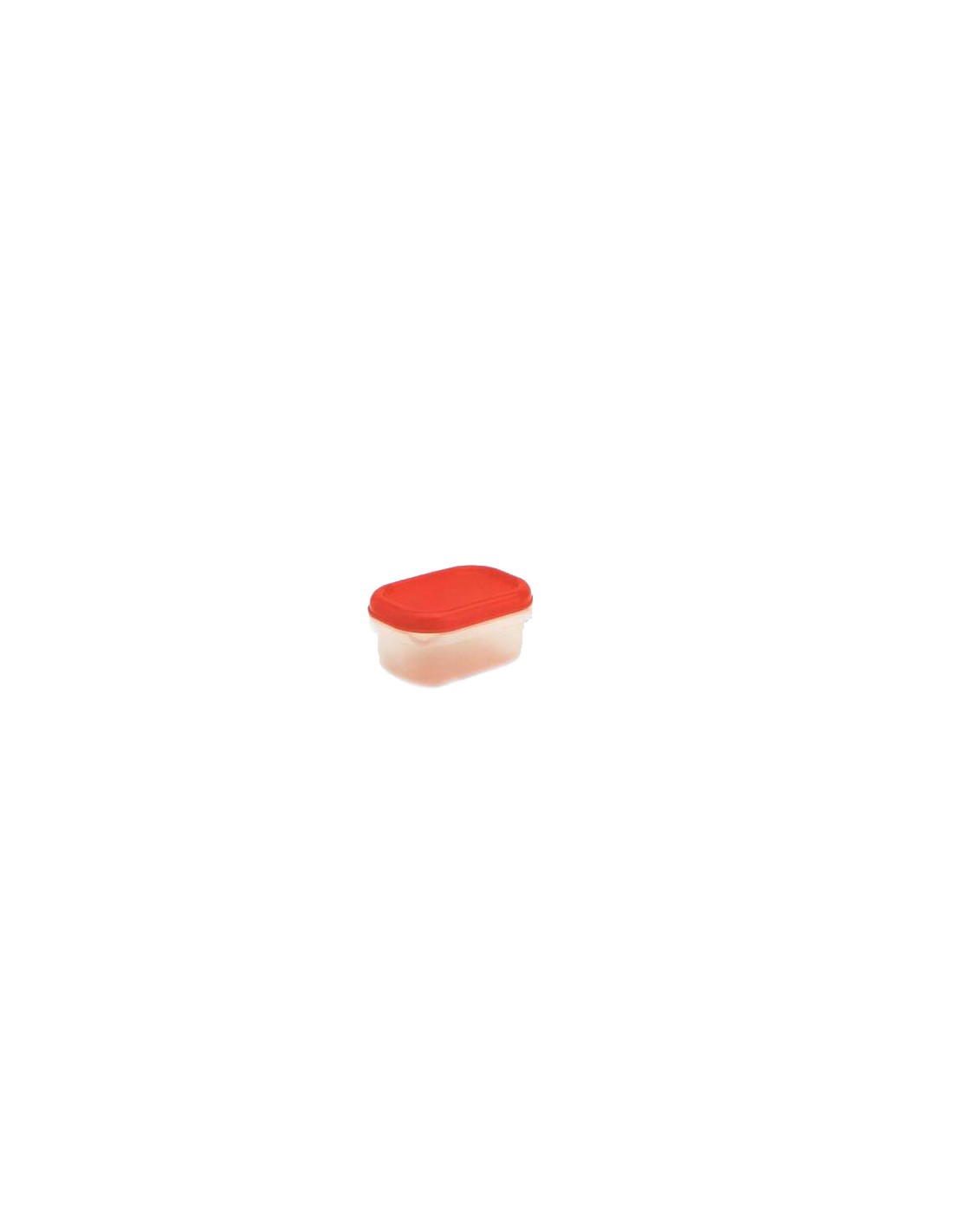 CONTENITORI E BROCCHE: vendita online FRIGO BOX RETTANGOLARE BASSA IN PLASTICA 0,5 LEGA in offerta