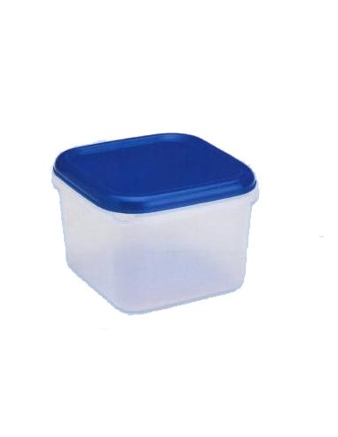 CONTENITORI E BROCCHE: vendita online FRIGO BOX QUADRATA BASSA IN PLASTICA 2,5 LT LEGA in offerta