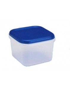 CONTENITORI E BROCCHE: vendita online FRIGO BOX QUADRATA BASSA IN PLASTICA 2,5 LT LEGA in offerta 2