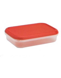 CONTENITORI E BROCCHE: vendita online FRIGO BOX RETTANGOLARE BASSA IN PLASTICA 2 LT LEGA in offerta 2