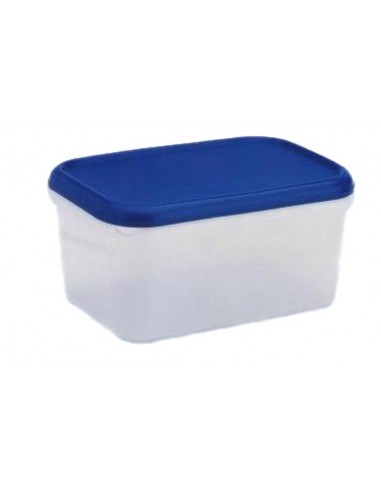 CONTENITORI E BROCCHE: vendita online FRIGO BOX RETTANGOLARE BASSA IN PLASTICA 4,5 LT LEGA in offerta