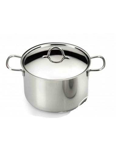 PENTOLE - COPERCHI ACCIAIO: vendita online ECOLINE PENTOLA IN ACCIAIO INOX 2 MANICI 20 CM PINTINOX in offerta
