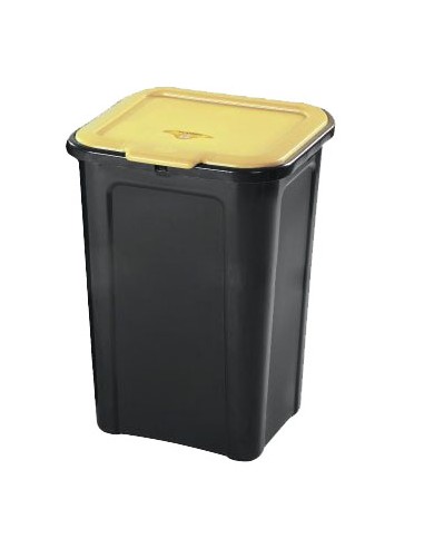 PATTUMIERE DIFFERENZIATA: vendita online COVERL LINE PATTUMIERA IN PLASTICA 44 LT TONTARELLI in offerta