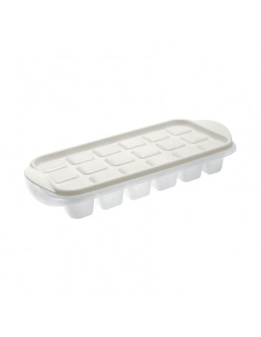ACCESSORI VARI: vendita online FORMAGHIACCIO 0949 VASCHETTA C/COPERCHIO in offerta